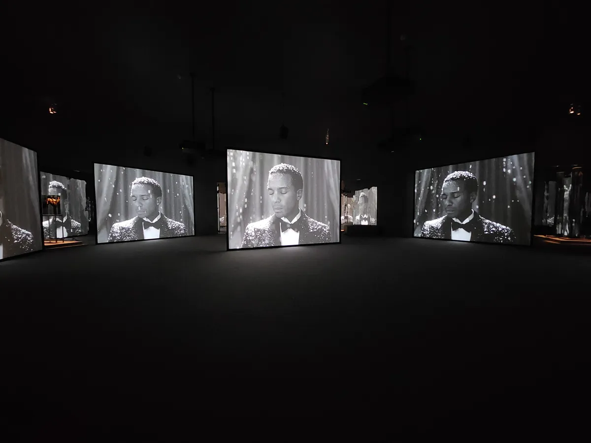 Isaac Julien Gallery Image 10